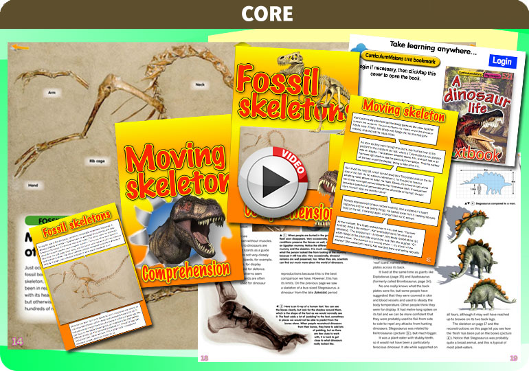 Curriculum Visions teacher dinosaurs, fossils, evolution, science history geography resource