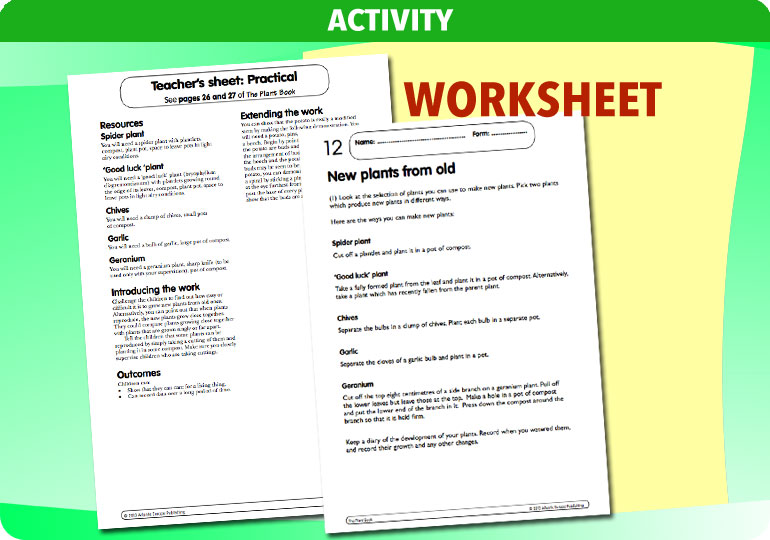 Curriculum Visions teacher the human body science resource